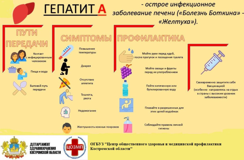 «Памятка по профилактике вирусного гепатита А» «Памятка по профилактике вирусного гепатита А».